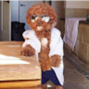 Meet your Posher, Devin